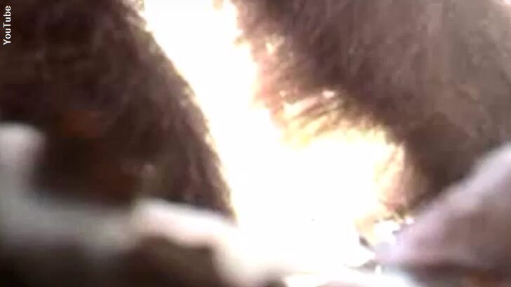 Watch: Bigfoot Busted Burying Game Camera?