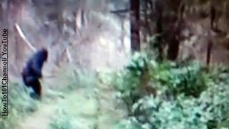 Bigfoot Encounter Video?