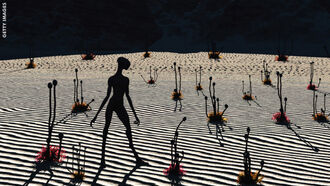 Paranormal Offerings / Strange Accounts