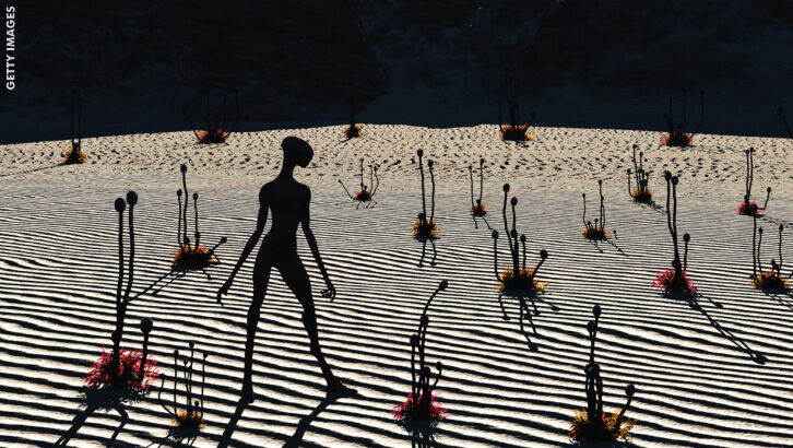 Paranormal Offerings / Strange Accounts