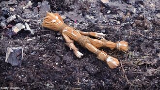 Cops Respond to Reports of Bizarre Roadkill Ritual in Wisconsin