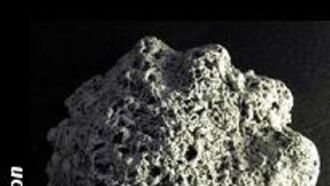 In Search of the Orang Pendek