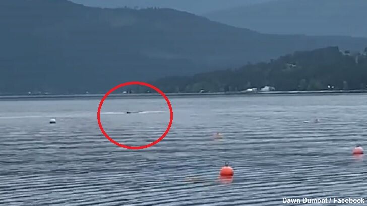 Watch: Lake Monster Filmed in Canada?