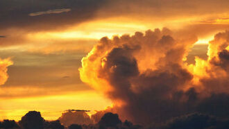 Alien Heads in the Clouds