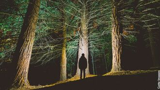 Lost Canadian Reports Encounter with Odd Entity