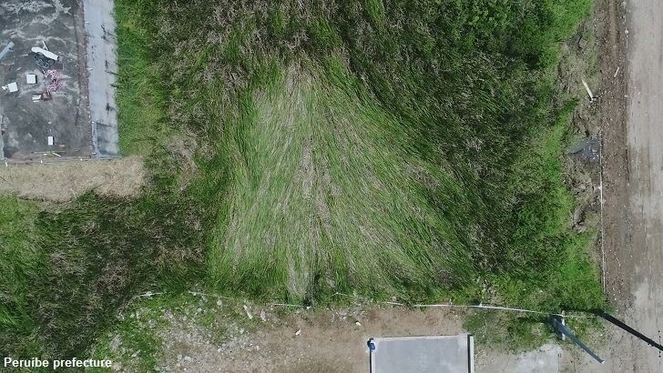 UFO Landing Site Found in Brazil?