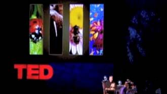 Knapp's News 4/25/10