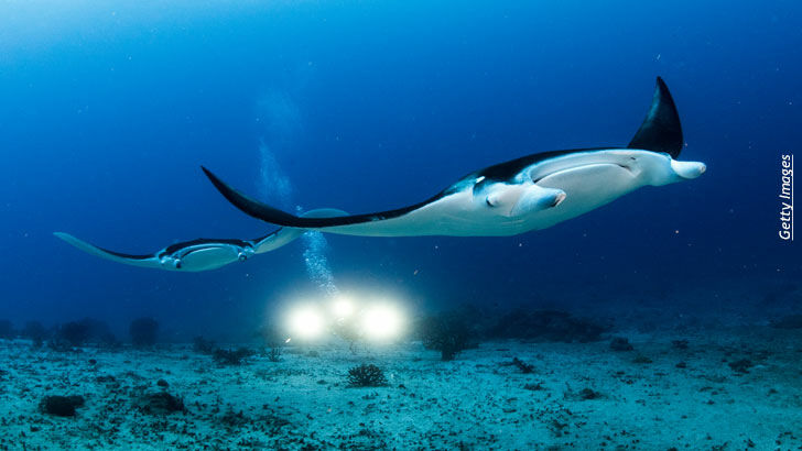 Knapp's News 11/26/17