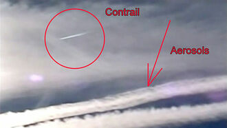 Clifford Carnicom Images