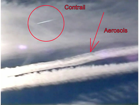 Clifford Carnicom Images