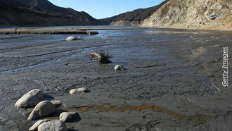 Consciousness Experiment: CA Rain