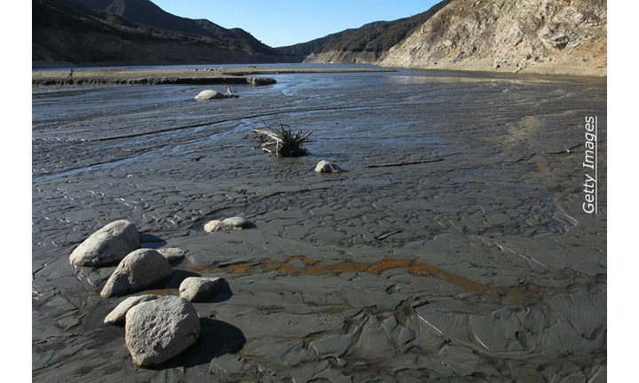 Consciousness Experiment: CA Rain