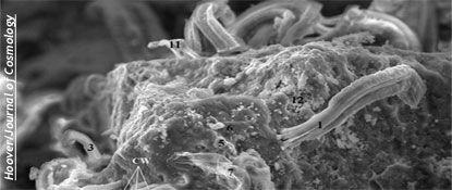 Knapp's News 7/31/11