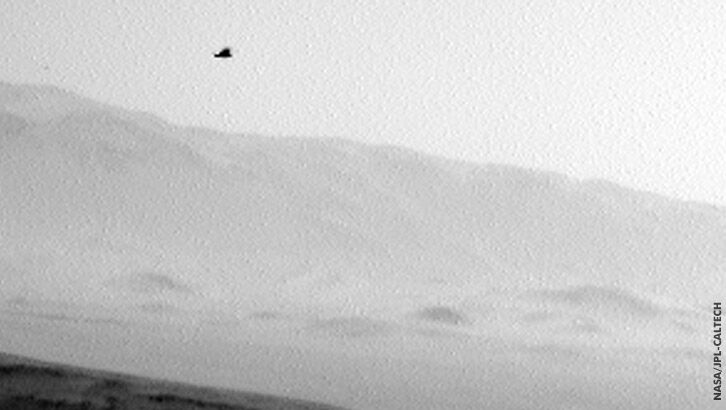 Flying Bird on Mars?