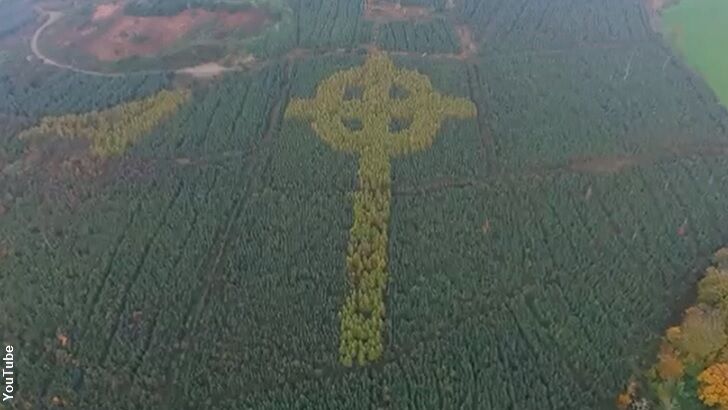 Giant Celtic Cross Found Hidden in Irish Forest