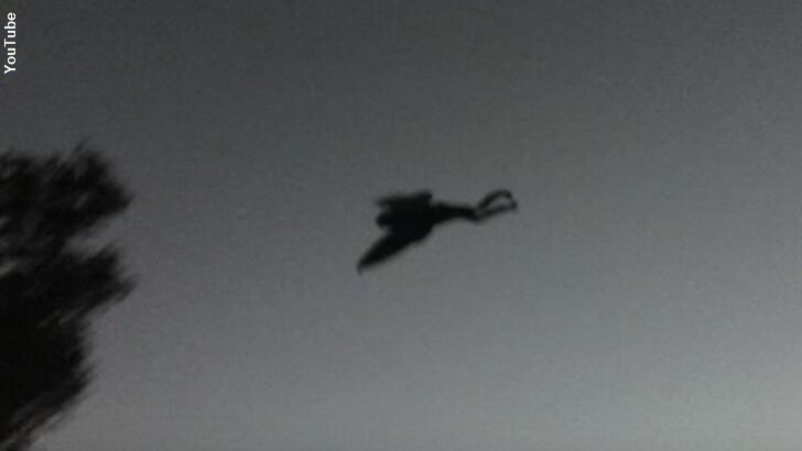 Mothman Photographed in West Virginia?