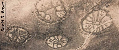 Knapp's News 9/25/11