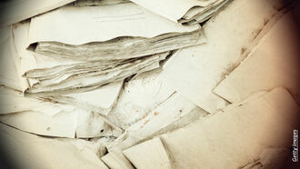 Video: 5 Mysterious Objects Found in the Trash