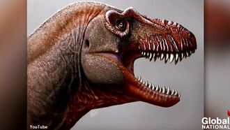 Video: Tyrannosaur Species Dubbed 'Reaper of Death' Discovered in Canada