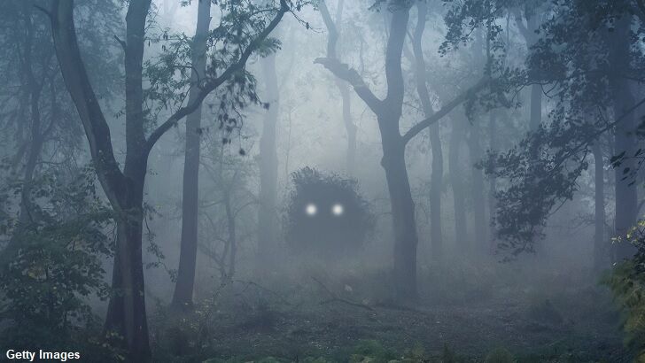 Mystery Creature Sparks Panic in India