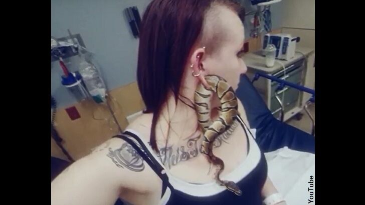 Video: Snake Gets Stuck in Woman's Pierced Ear!