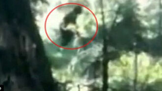 New 'Bigfoot' Video