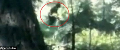 New 'Bigfoot' Video