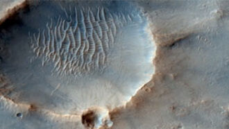 Knapp's News 1/22/12