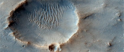 Knapp's News 1/22/12