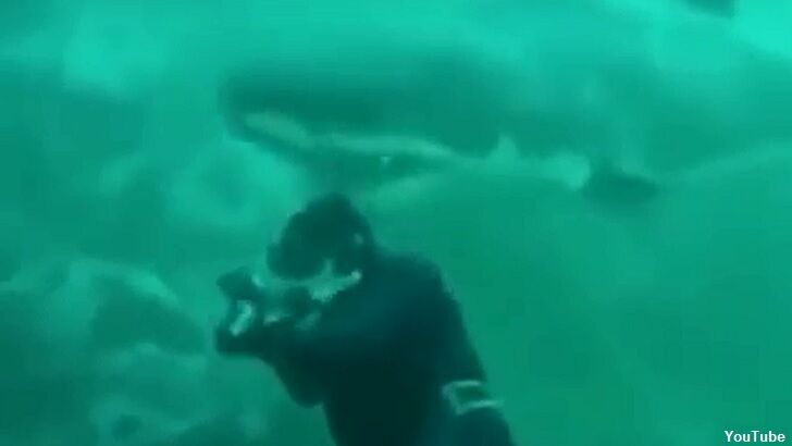 Watch: Scuba Diver Buzzed by Great White Shark?