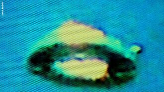 UFO Pictured Over Forest