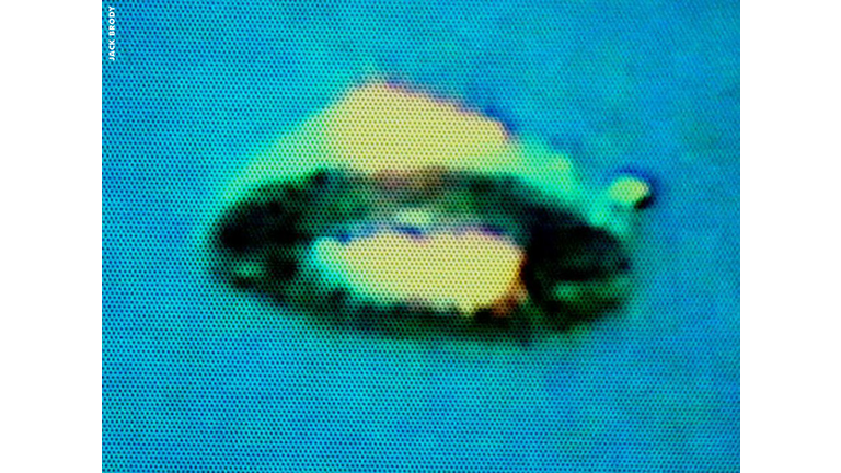 UFO Pictured Over Forest