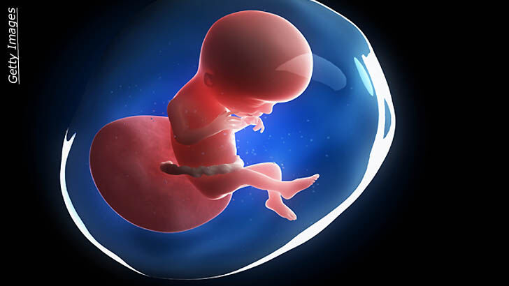 Approval Sought To Genetically Modify Human Embryos