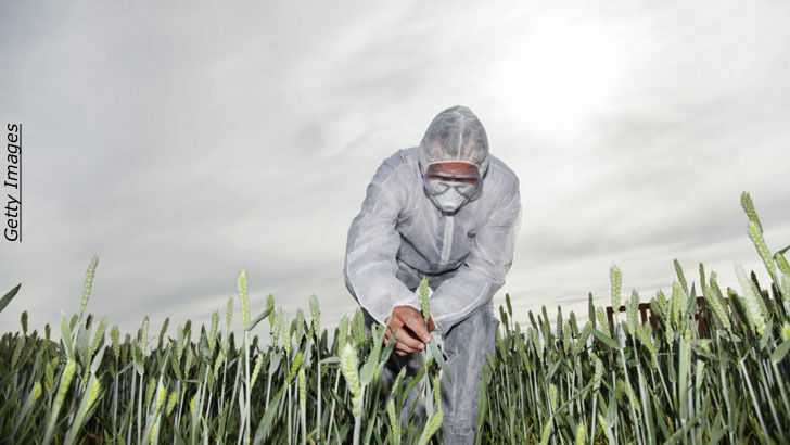 GMO Fraud/ Nightmares & Dreams
