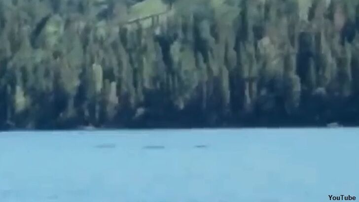 China's Nessie Caught on Film?