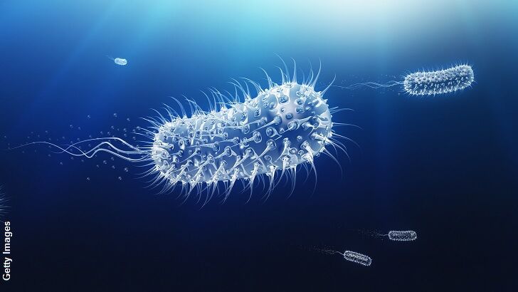 CDC Warns of 'Phantom Menace' Superbug