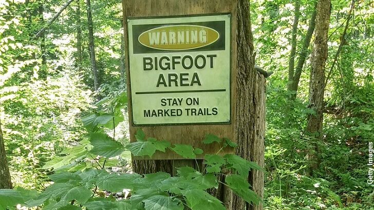 Bigfoot Spotted in New Jersey?