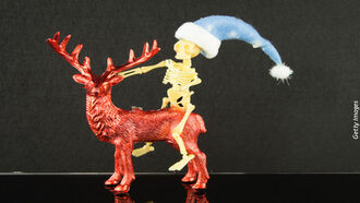 Aerial Spraying / Origins of Christmas