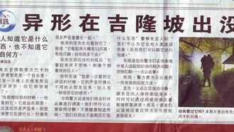 Malaysian Report: 12 ft. Giant