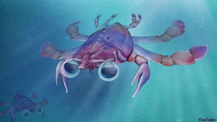 Scientists Unearth Ancient 'Chimera Crab'