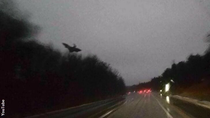 'Jersey Devil' Captured on Film?