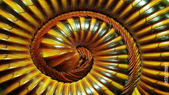 Creatures Among Us / Reinterpreting Biblical History