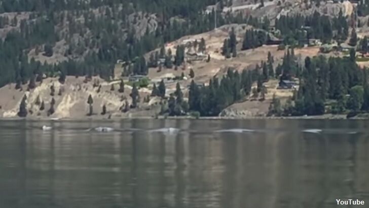 Video: Ogopogo Caught on Film?