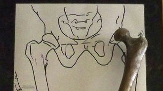 Giant Skeleton & Femur