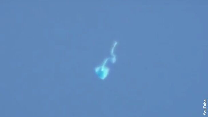 Watch: Mystery Flying Creature Filmed in Mexico?