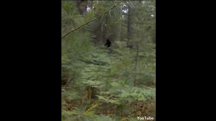 Watch: Bigfoot Filmed in Michigan?