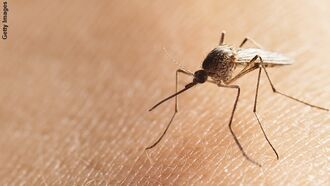 Zika Virus Outbreak Spawns Conspiracy Theories
