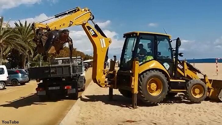 Watch: Digger Removes Massive Turtle from Beach in Spain