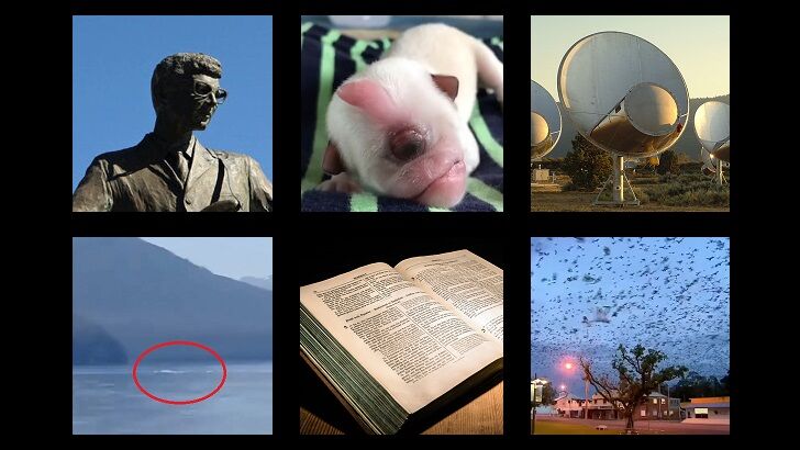 In Coast You Missed It 2/7/20