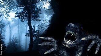 Werewolf Sightings/ Who Killed Bob Crane?